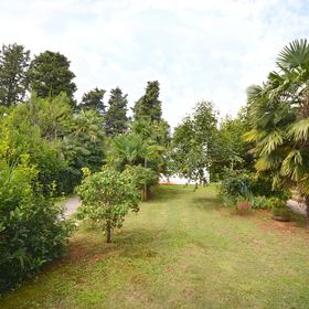 Apartments Dasen Umag