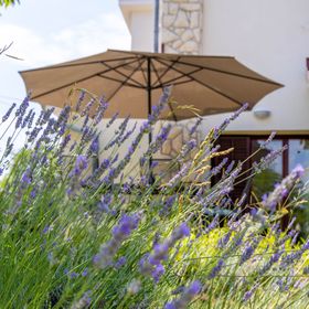 Apartments Milas Silo