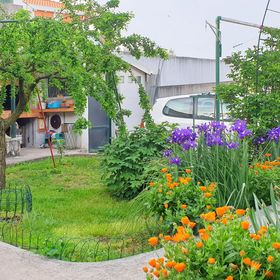 Apartment Mirjam Bibinje