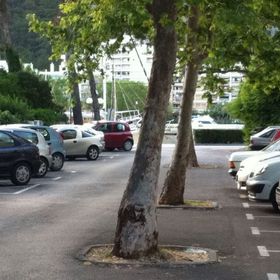 Apartment Vicko Omis