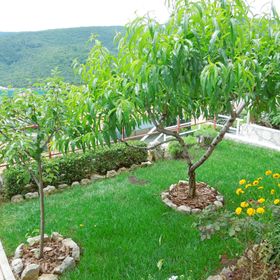 Apartments Elide Rabac