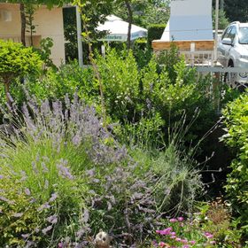 Apartment Ljiljana Novi Vinodolski