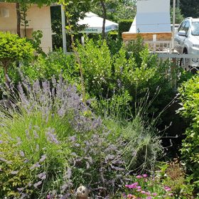 Apartment Ljiljana Novi Vinodolski