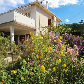 Apartments Dragica C. Silo