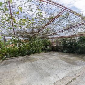 Apartments Miodrag Stupin Celine