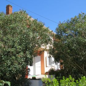 Apartment and Rooms Amenka Novalja