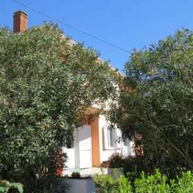 Apartment and Rooms Amenka Novalja