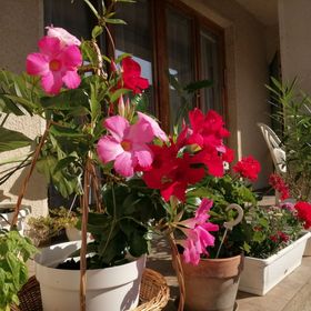 Saci Vendégház Sátoraljaújhely