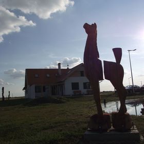 Tarján Puszta Vendégház & Rendezvényterem Kötegyán