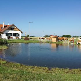 Tarján Puszta Vendégház & Rendezvényterem Kötegyán