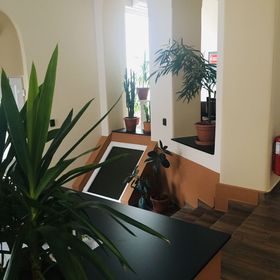 Megyeház Apartman Makó