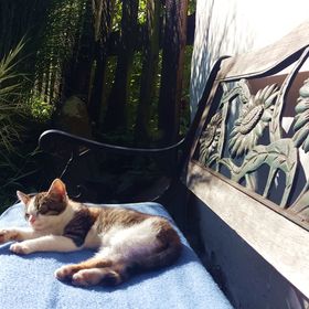 Kis Sziget Vendégház Nagybörzsöny