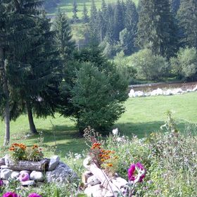 Pensiunea Dig's Gârda de Sus