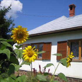 Almafás Jacuzzis Vendégház Őrség Kerkakutas