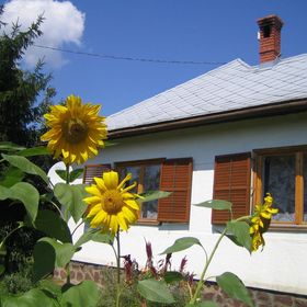 Almafás Jacuzzis Vendégház Őrség Kerkakutas
