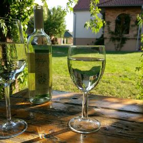 Borbarátok Vendégház Villány