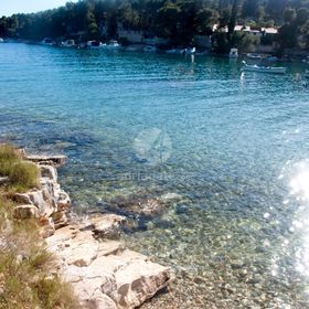 Apartment Deni Milna