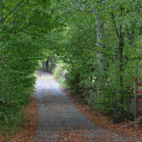 Cabana Csendes Bükk 1 Izvoare