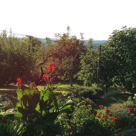 Gyöngy Apartman Keszthely