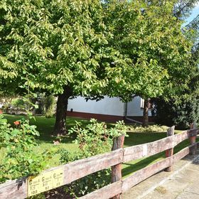 Gombos Apartman Hajdúszoboszló