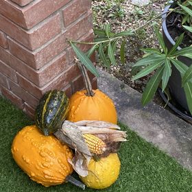 Villa Trófea Hévíz