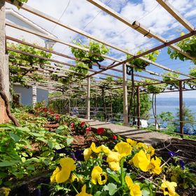 Apartments Milan Medveja