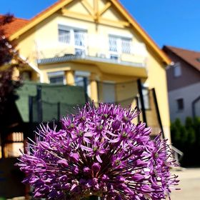 Li-Do Vendégház Balatonfüred