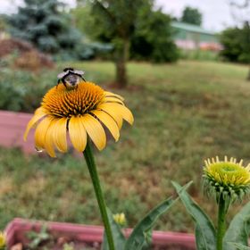 Galagonya Vendégház Bogyoszló