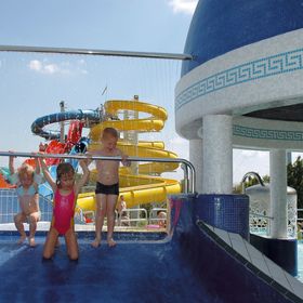 Vaddisznó Lak Kiskunmajsa