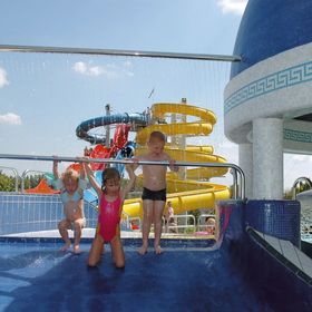 Vaddisznó Lak Kiskunmajsa