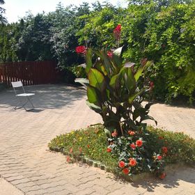 Borostyán Nyaralóház Balatonboglár