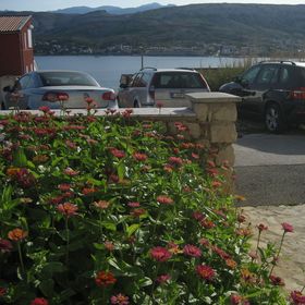 Apartmani Pavičić Marija Pag