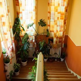 Pensiunea Muzsikás Lupeni