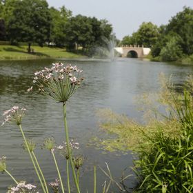 Szitakötő Vendégház Szentes