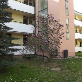 Termál Apartman Zalakaros