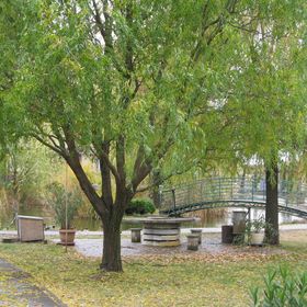 Riadorma Apartman Cserkeszőlő