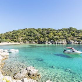 House Silvestra Potocnica