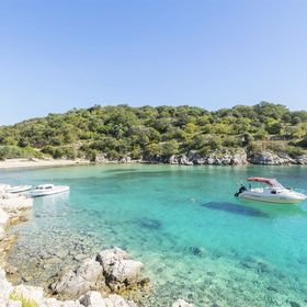 House Silvestra Potocnica