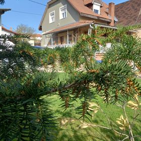 Kata Vendégház Noszvaj