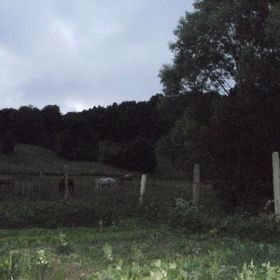 Mókus-lak Apartman Bakonybél