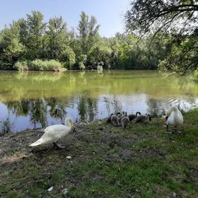 Cifrahidi Vendégház Szalkszentmárton