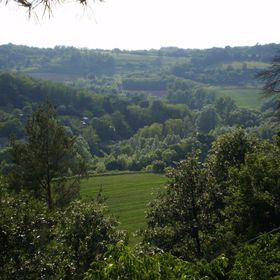 Fenyves Apartman Kaposvár