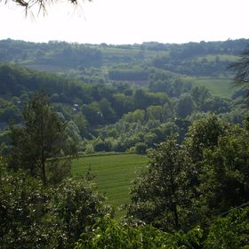 Fenyves Apartman Kaposvár