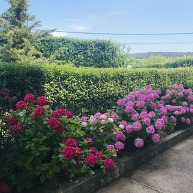 Kaala Apartments Supetarska Draga