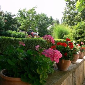 Hársfa Szálló Tamási