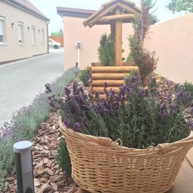 Levendula Vendégház Győr