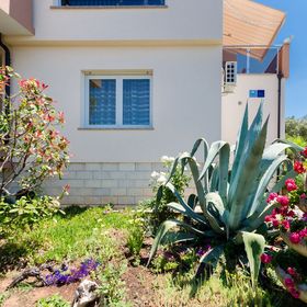 Apartments Miljenko Punat