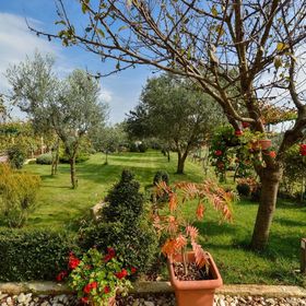 Apartman Djurdja A2 Fažana