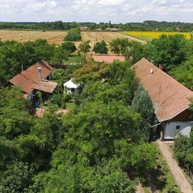 Páva Tanya és Vendégház Gyula