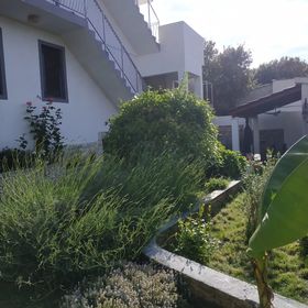 Apartman Lavanda Nova Ražanj